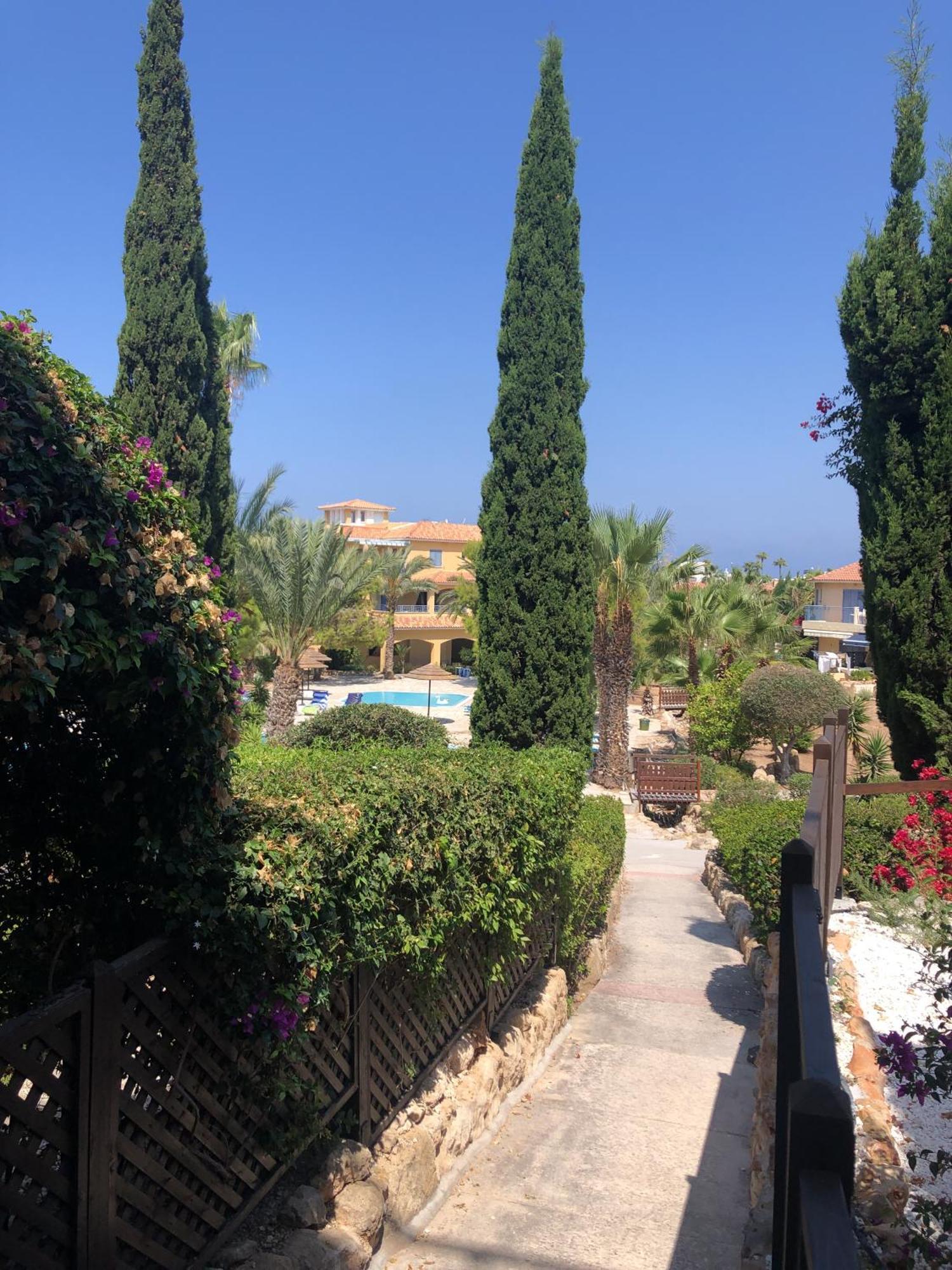 Newly Renovated- Regina Gardens 1, Venus Beach 500 M, Sea&Sunsets View, License Ooo7141 Paphos ภายนอก รูปภาพ